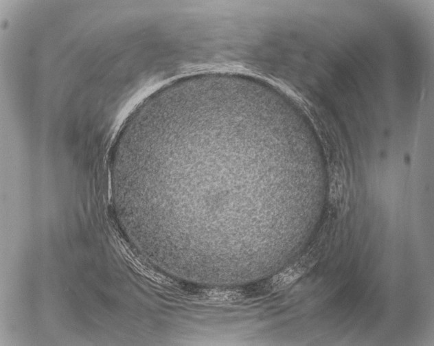 X0000057101271200509231706