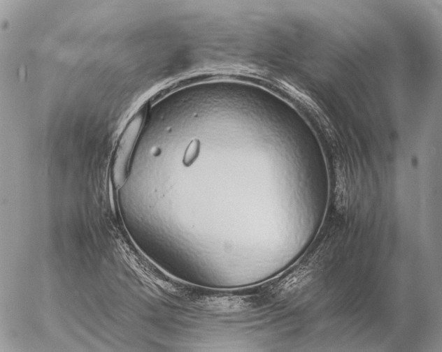 X0000057101272200509231706