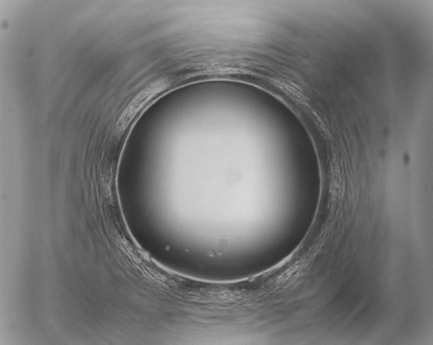 X0000057101273200509231706