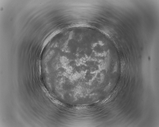 X0000057101274200509231706