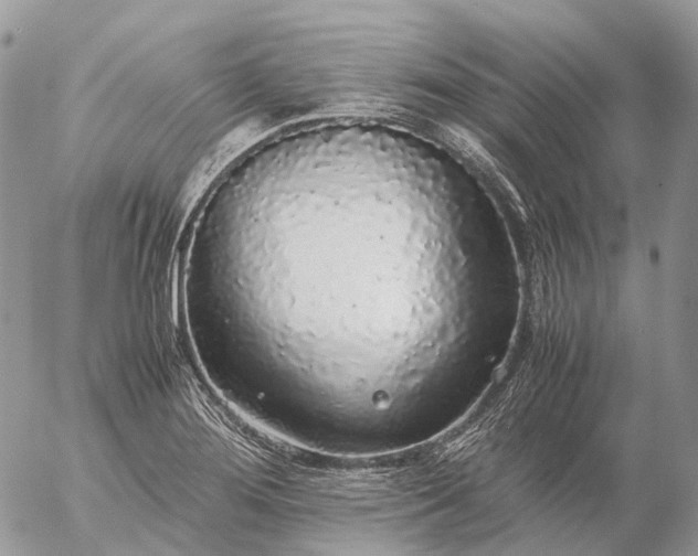 X0000057101276200509231706