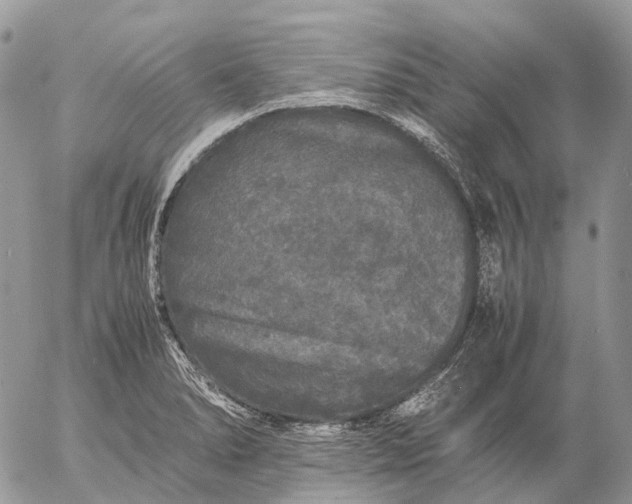 X0000057101278200509231706