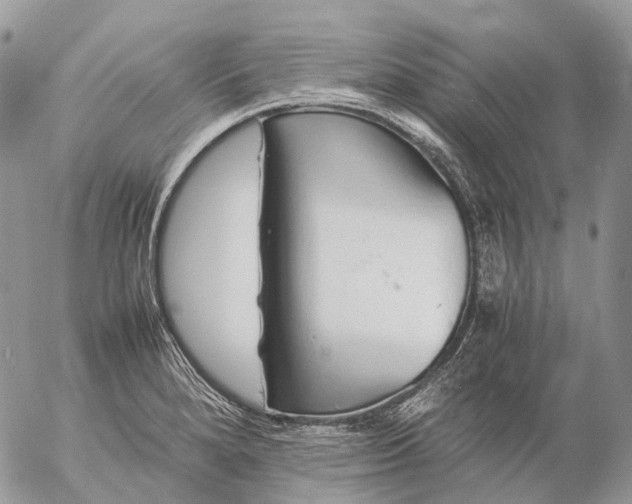 X0000057101280200509231706