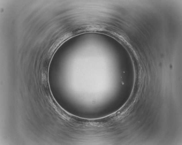 X0000057101281200509231706