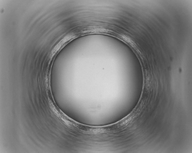 X0000057101282200509231706