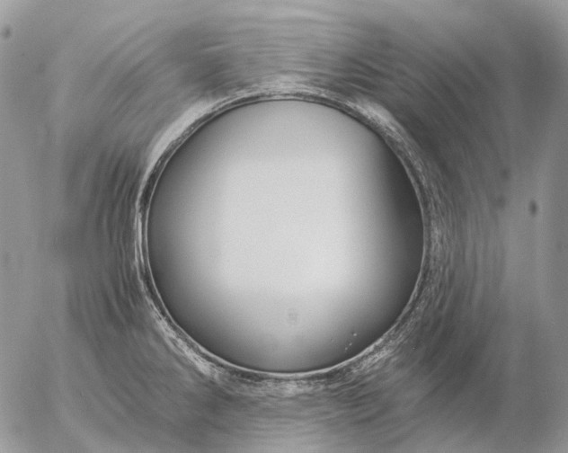 X0000057101286200509231706