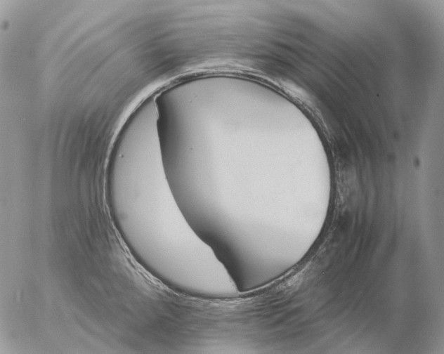 X0000057101288200509231706