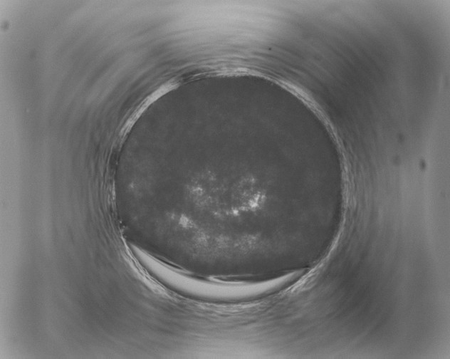 X0000057101289200509231706