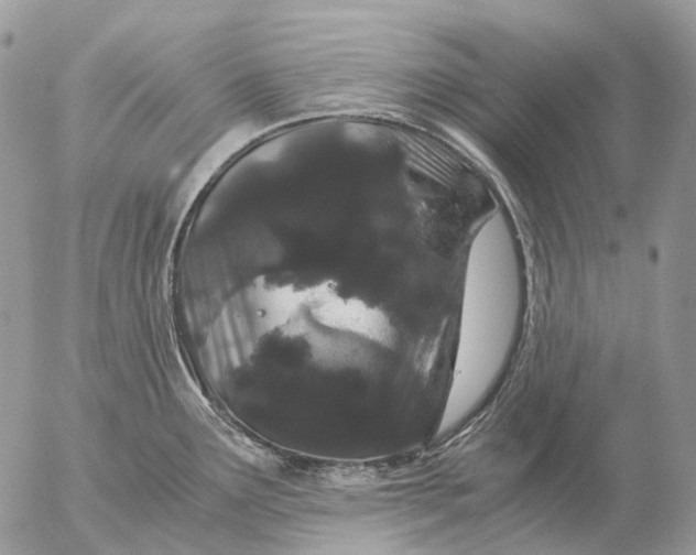 X0000057101291200509231706