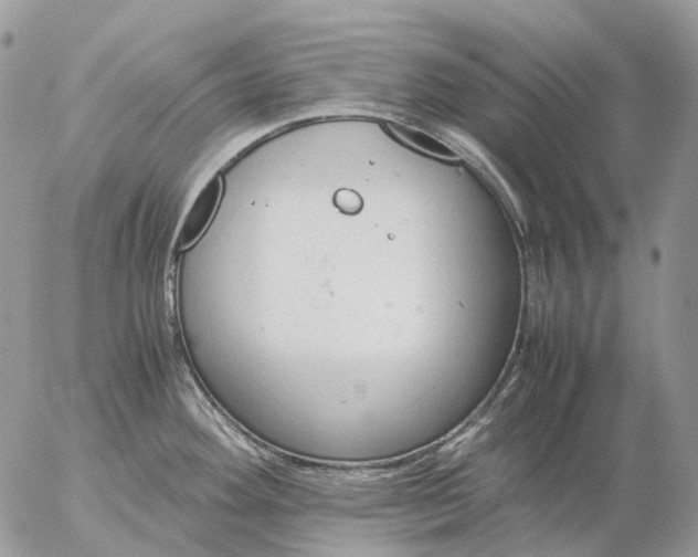 X0000057101292200509231706