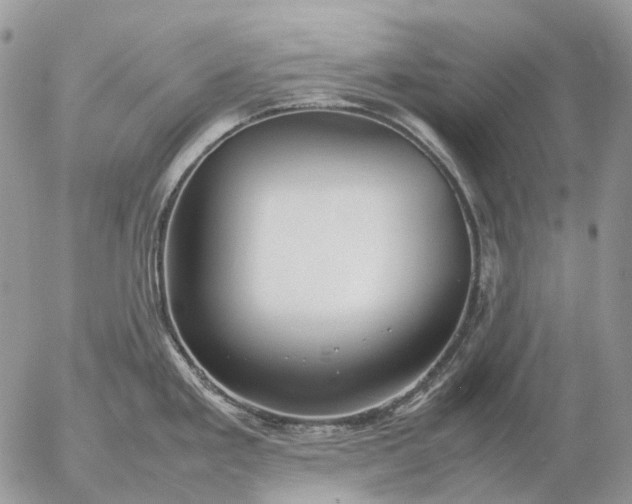 X0000057101293200509231706