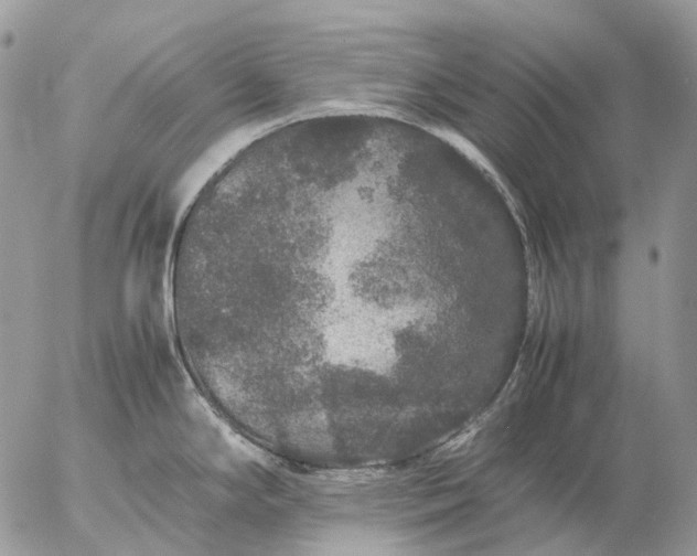 X0000057101294200509231706