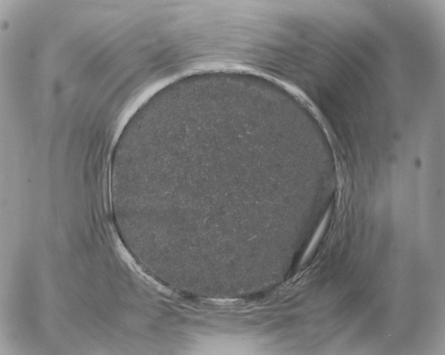 X0000057101295200509231706