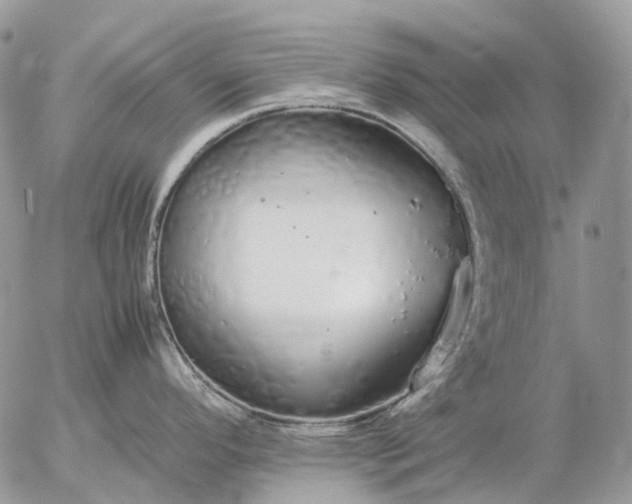 X0000057101296200509231706