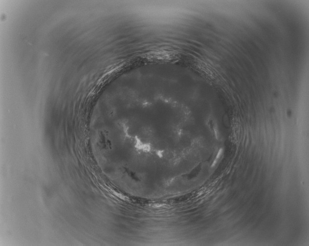 X0000057101297200509231705