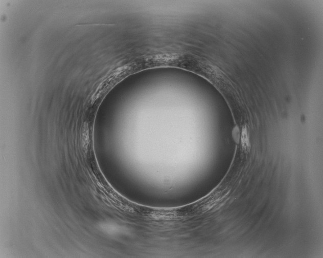 X0000057101299200509231705