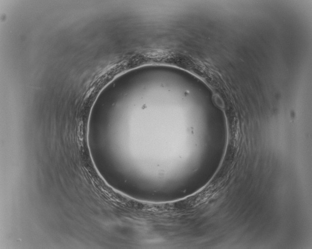 X0000057101301200509231705