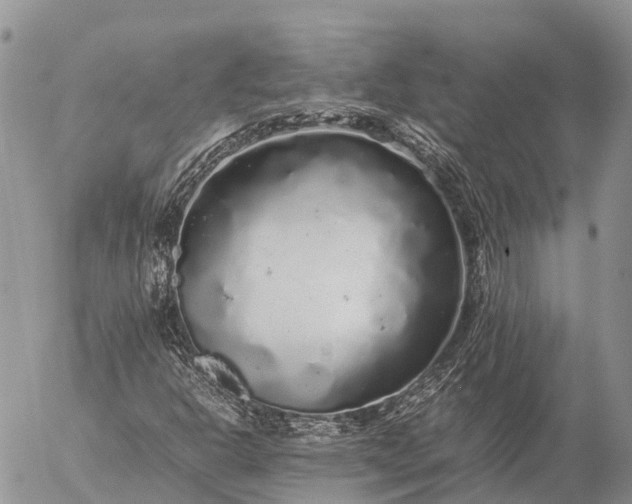 X0000057101302200509231705