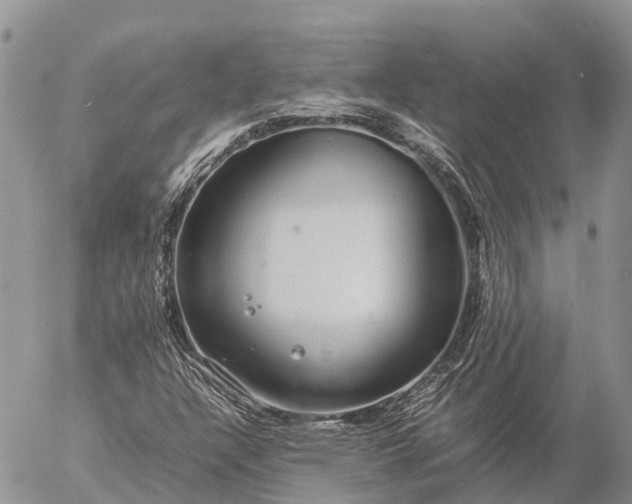 X0000057101304200509231705