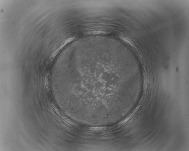 X0000057101305200509231705