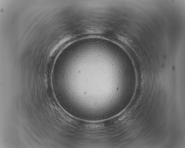 X0000057101307200509231705