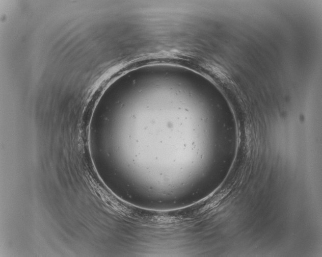 X0000057101308200509231705