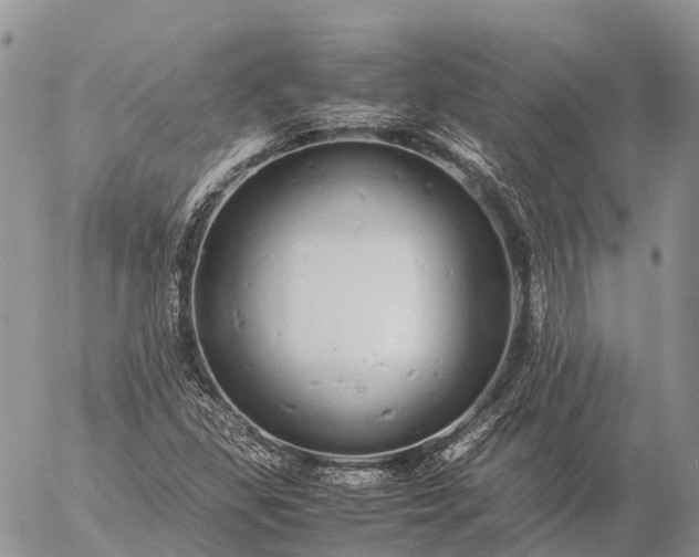 X0000057101309200509231705