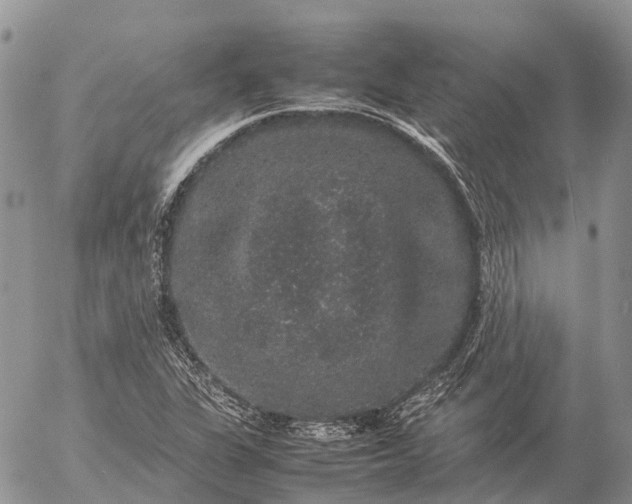 X0000057101311200509231705