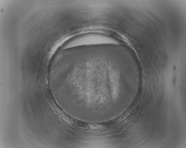 X0000057101312200509231705