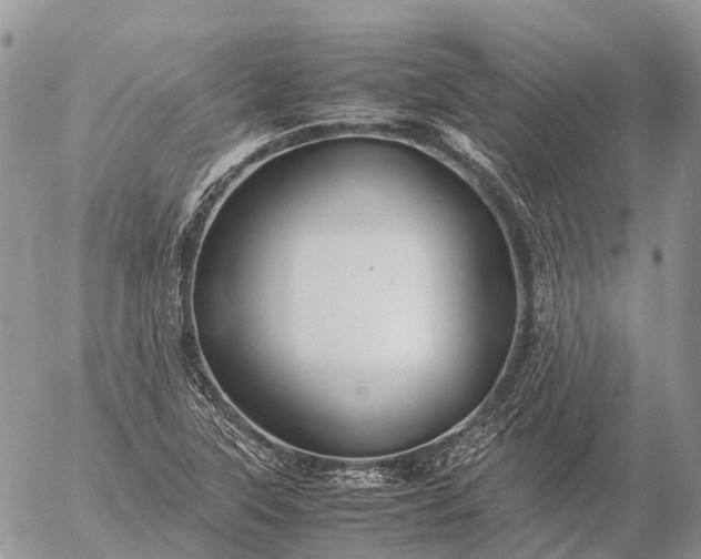 X0000057101315200509231705