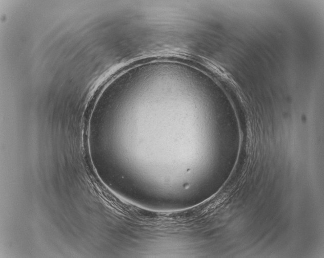 X0000057101316200509231705