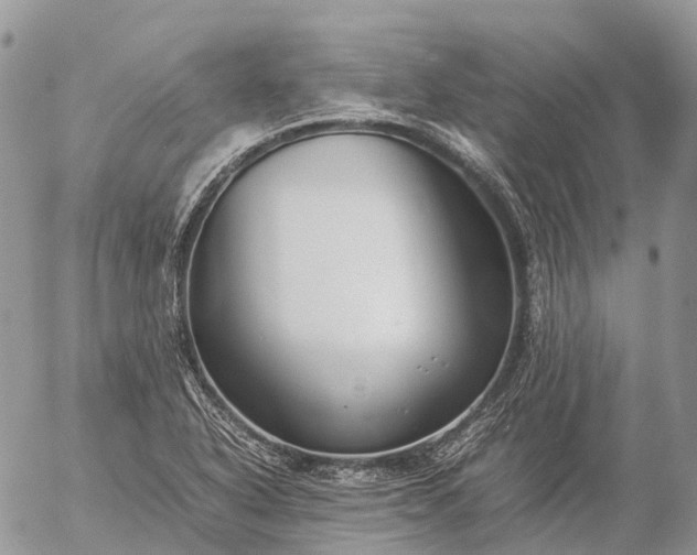 X0000057101318200509231705