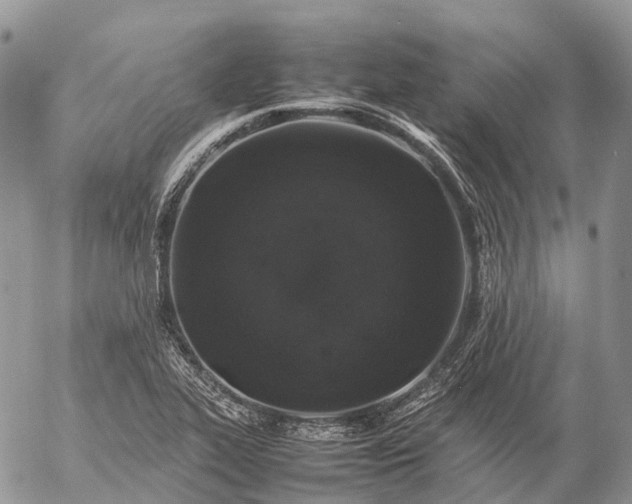 X0000057101319200509231705