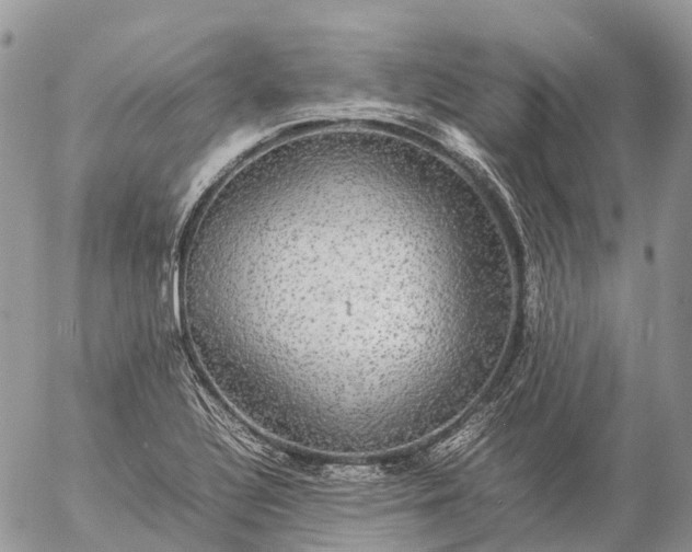 X0000057101320200509231705