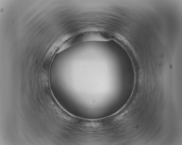 X0000057101321200509231705