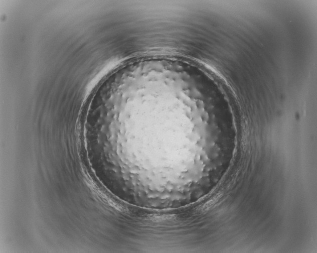 X0000057101325200509231705