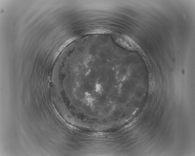 X0000057101329200509231706