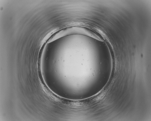 X0000057101330200509231706