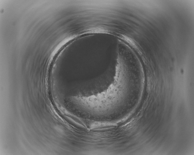 X0000057101331200509231706