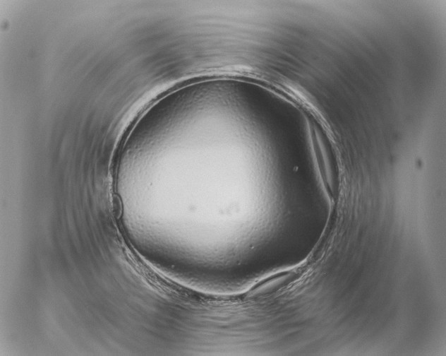 X0000057101332200509231706