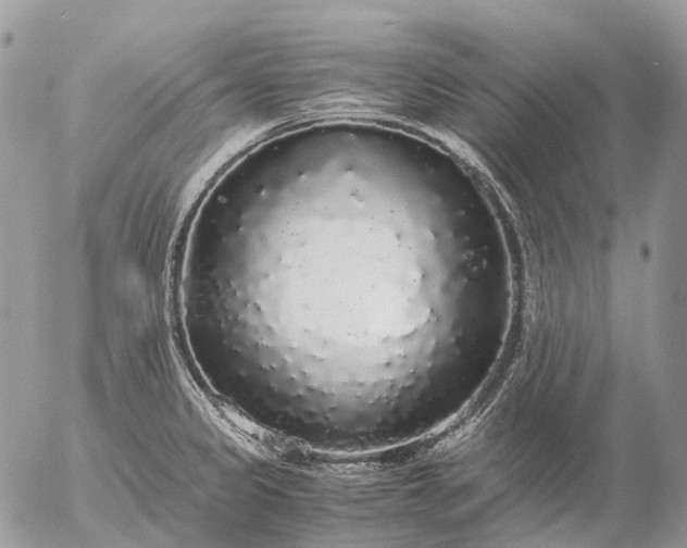 X0000057101333200509231706