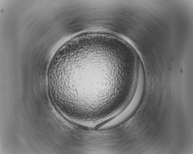 X0000057101335200509231706