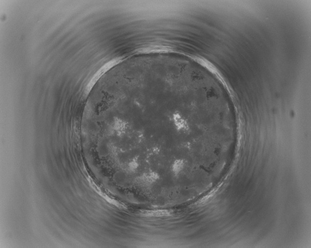 X0000057101337200509231706