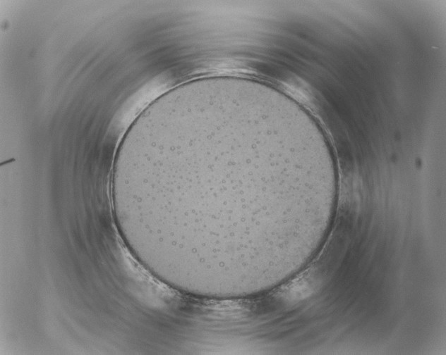 X0000057101338200509231706