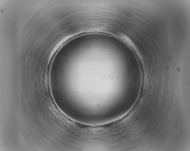 X0000057101340200509231706