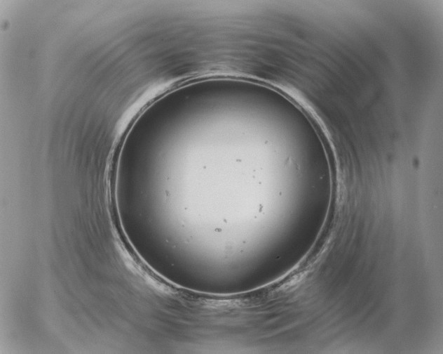 X0000057101341200509231706