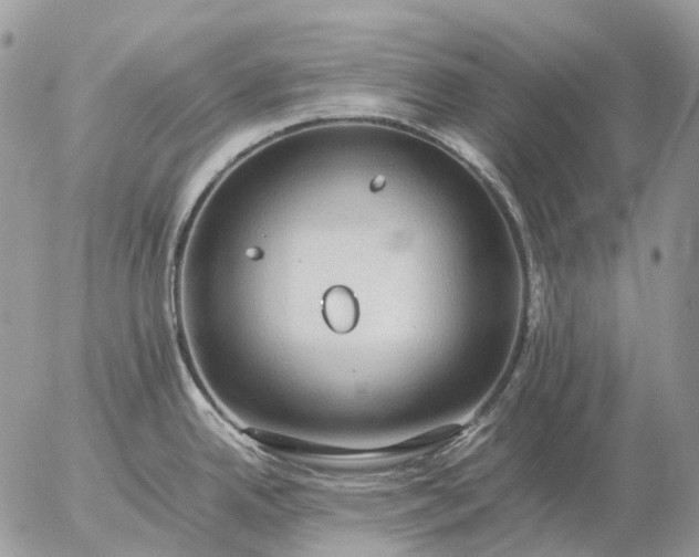 X0000057101342200509231706