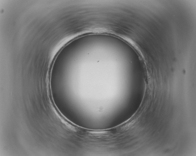 X0000057101343200509231706