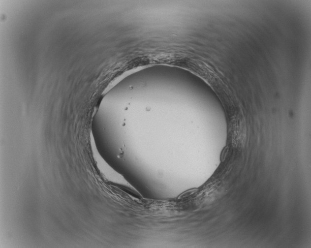 X0000057101345200509231705