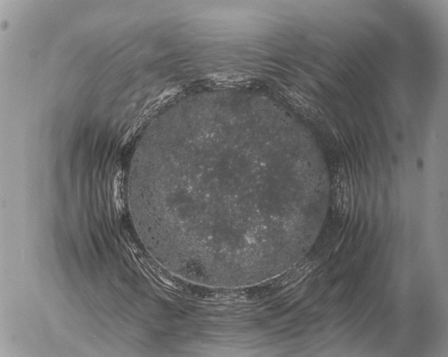 X0000057101346200509231705